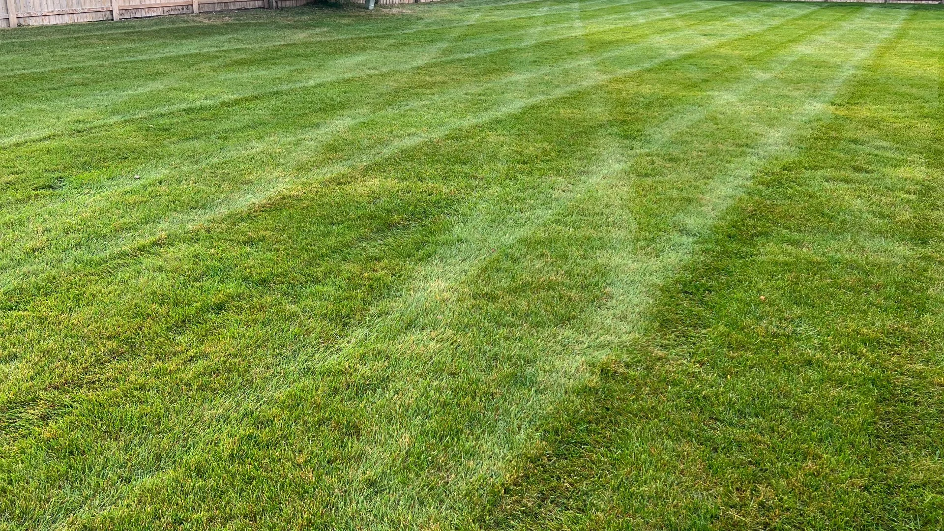 Should Lawns in South Dakota Be Fertilized During the Fall?