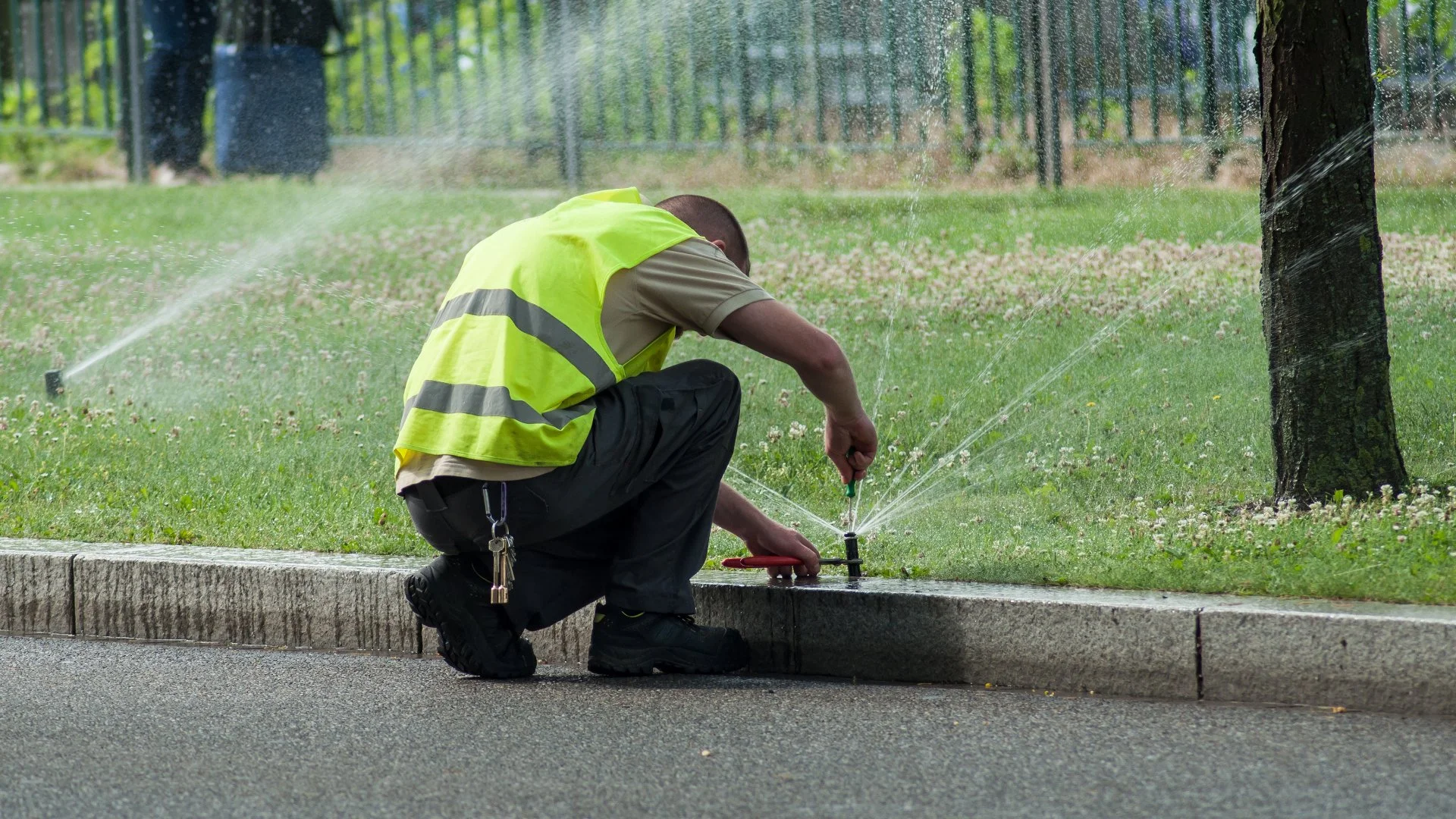 Notice Any of These Signs? Your Irrigation System Might Need to Be Repaired