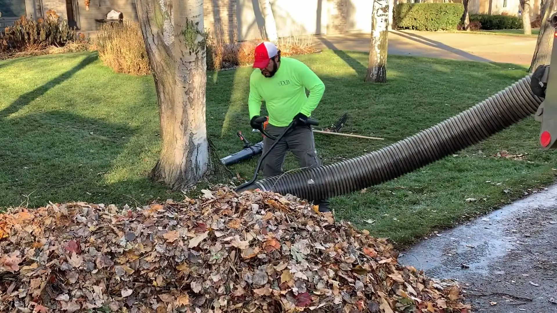 Skipping Leaf Removal This Year Could End up Being a Big Mistake!