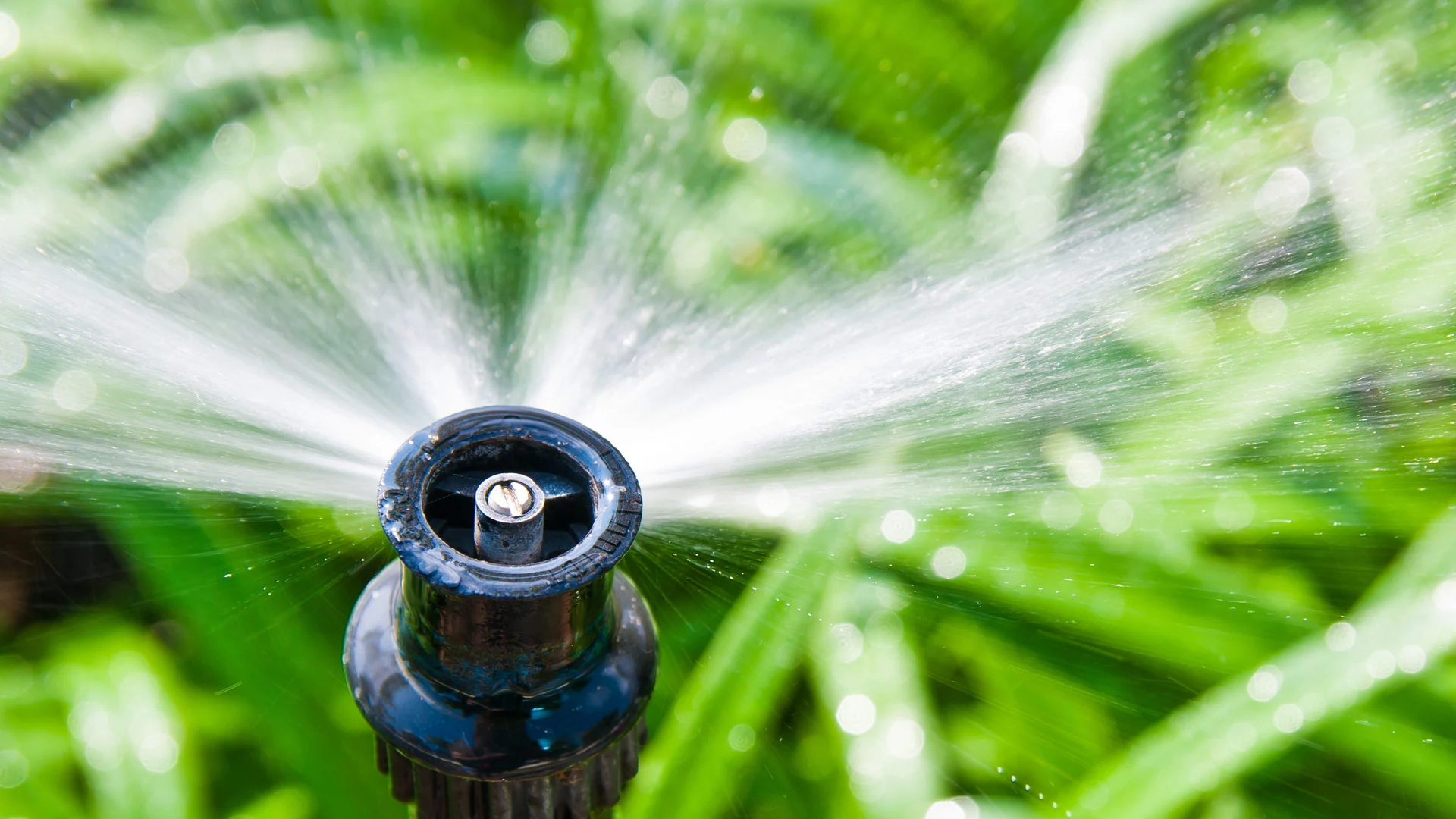 Make Sure You Let Pros Bring Your Irrigation System Online This Spring