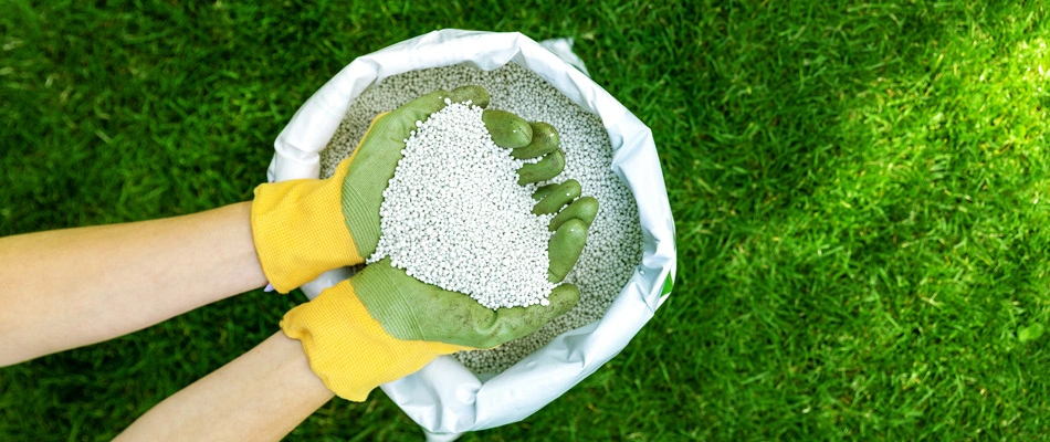 Gloved professional holding granular fertilizer pellets in Hartford, SD.