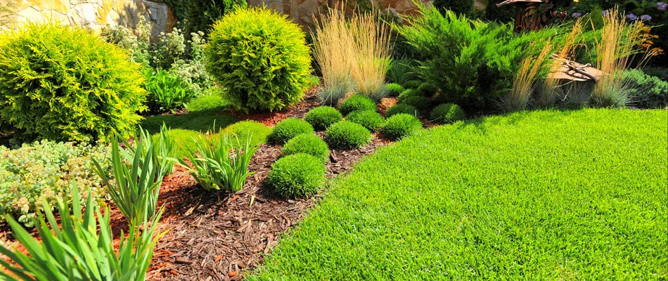 Maintained landscape bed beside a lawn in Crooks, SD.