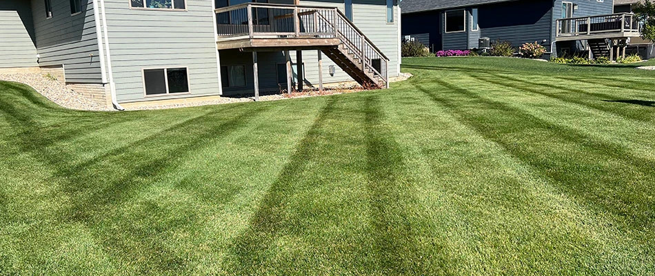 A mowed lawn with alternating patterns in Sioux Falls, SD.