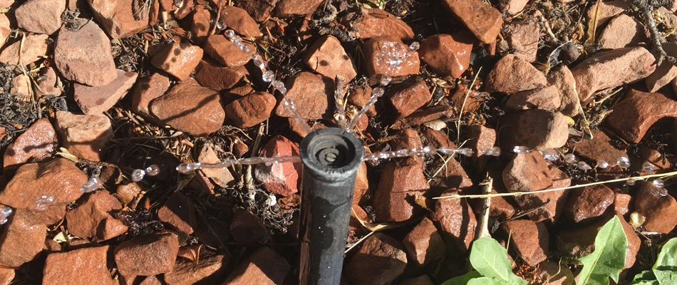 A sprinkler head distributing low amount of water to landscape in Tea, SD.