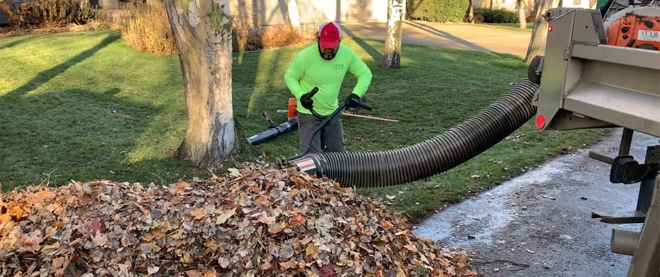 Professional removing leaves from lawn in Sioux Falls, SD.