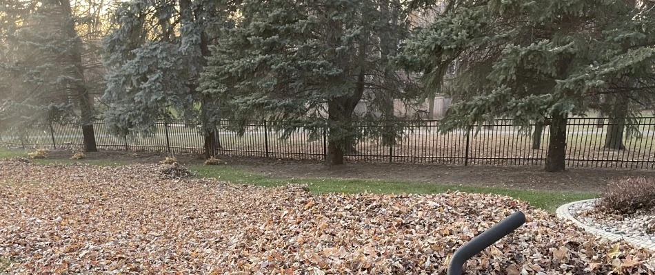 A customer's lawn being serviced for leaf removal in Tea, SD.