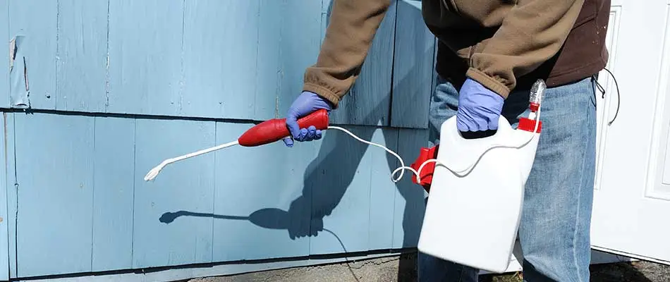 A professional spraying pest control treatment around the base of a home in Brandon, SD.