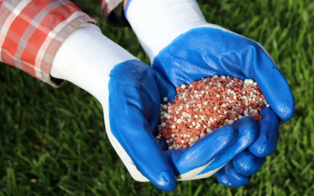 Is It Possible to Fertilize Your Lawn Too Late Into the Fall Season?