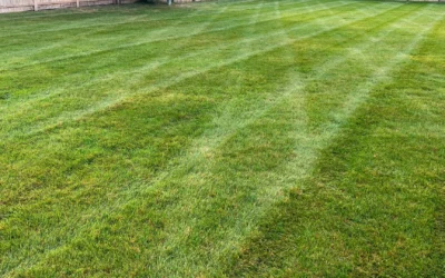 Should Lawns in South Dakota Be Fertilized During the Fall?