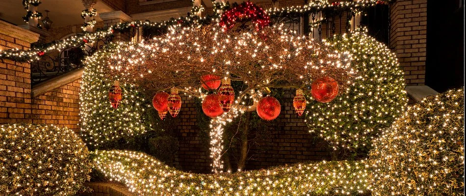 https://www.tyblawncare.com/files/account/images/blog/blog-dry-christmas-holiday-lights-garden_768.webp